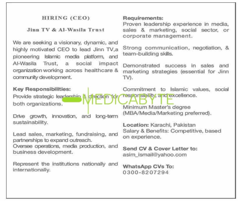 Chief Executive Officer CEO Jinn TV & Al-Wasila Trust Jobs 2025