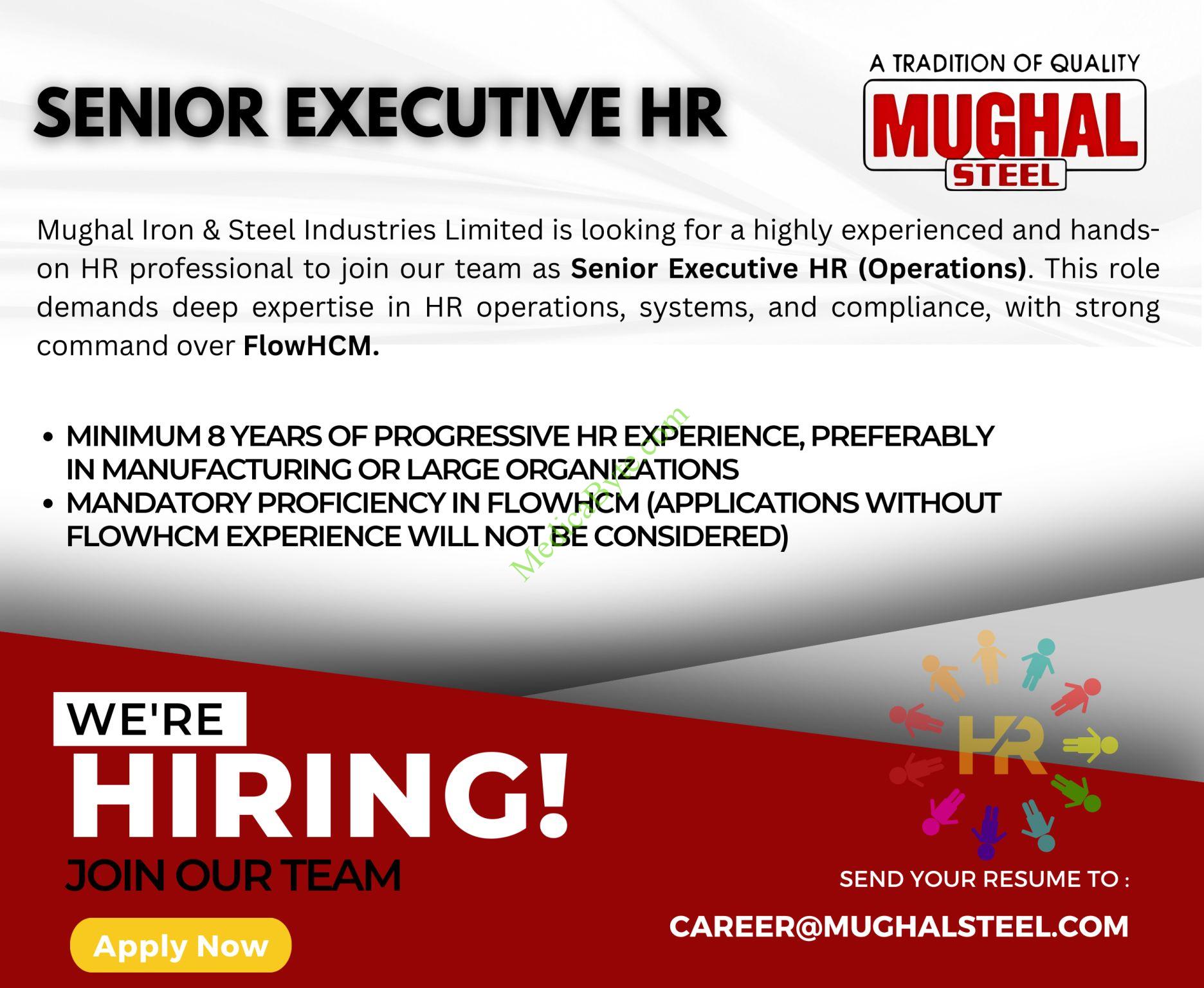 Senior Executive New Jobs 2026 for Mughal Steel